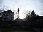 Třibřichy